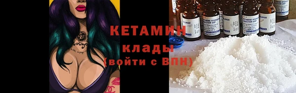 прущие грибы Коряжма